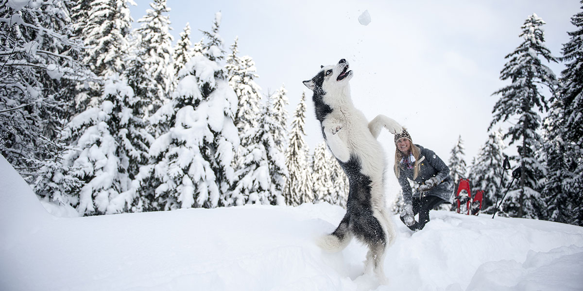 我們的品牌形象