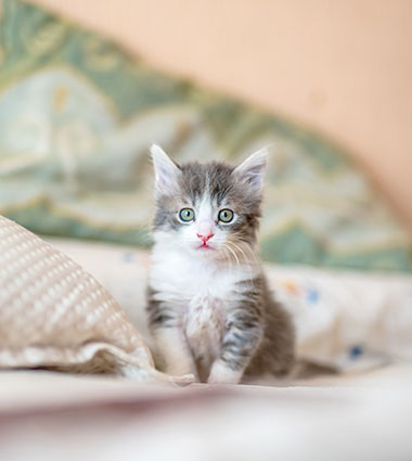 如何度過適應(yīng)期？