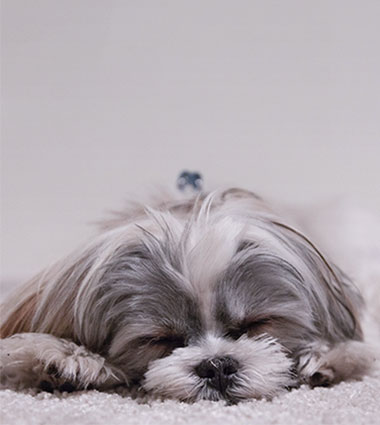 如何度過(guò)適應(yīng)期？