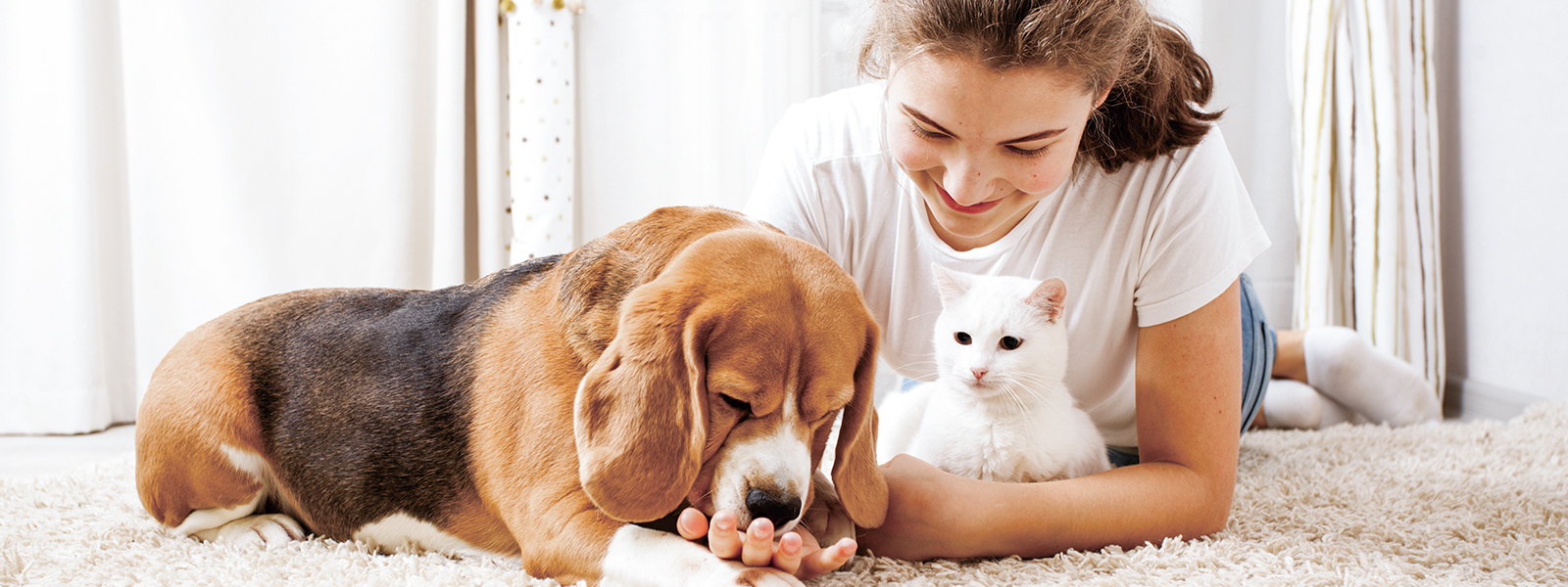 我們，是連接您與寵物之間的橋梁