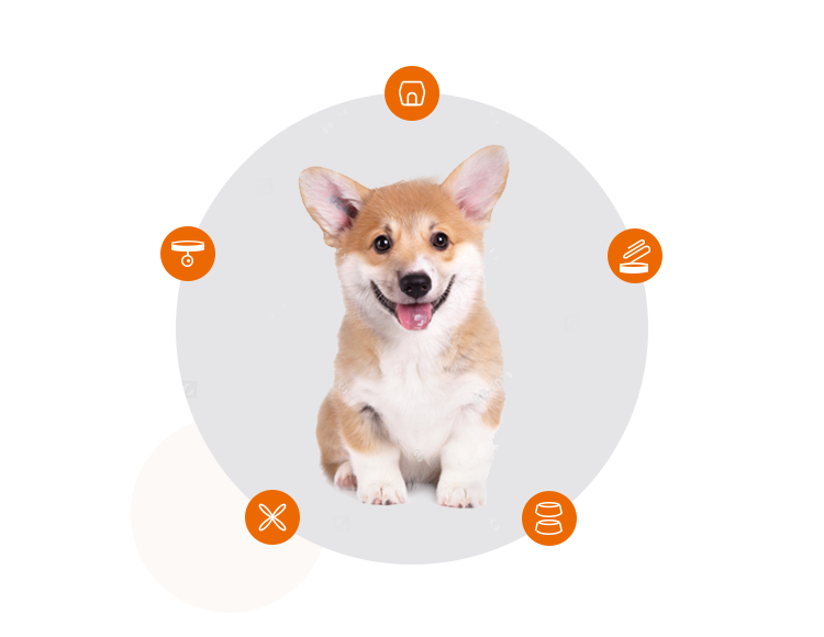 如何為幼犬準(zhǔn)備新家生活？