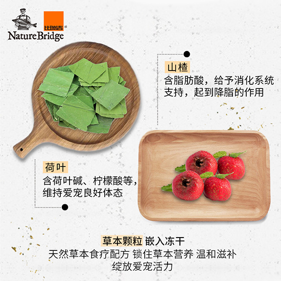 比瑞吉優(yōu)選全價英國短毛貓成年期貓糧