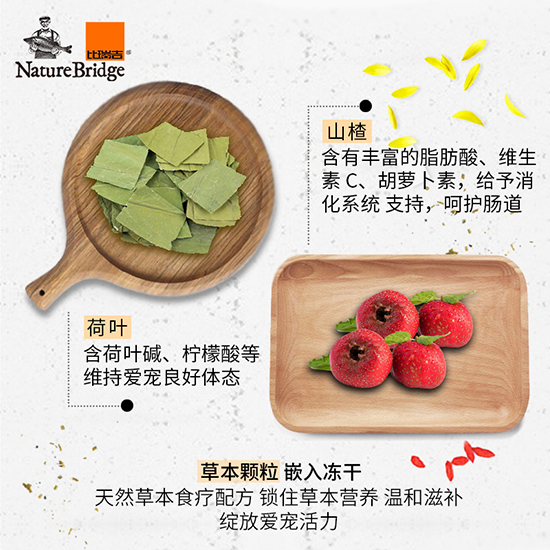 比瑞吉優(yōu)選全價(jià)美國(guó)短毛貓成年期貓糧